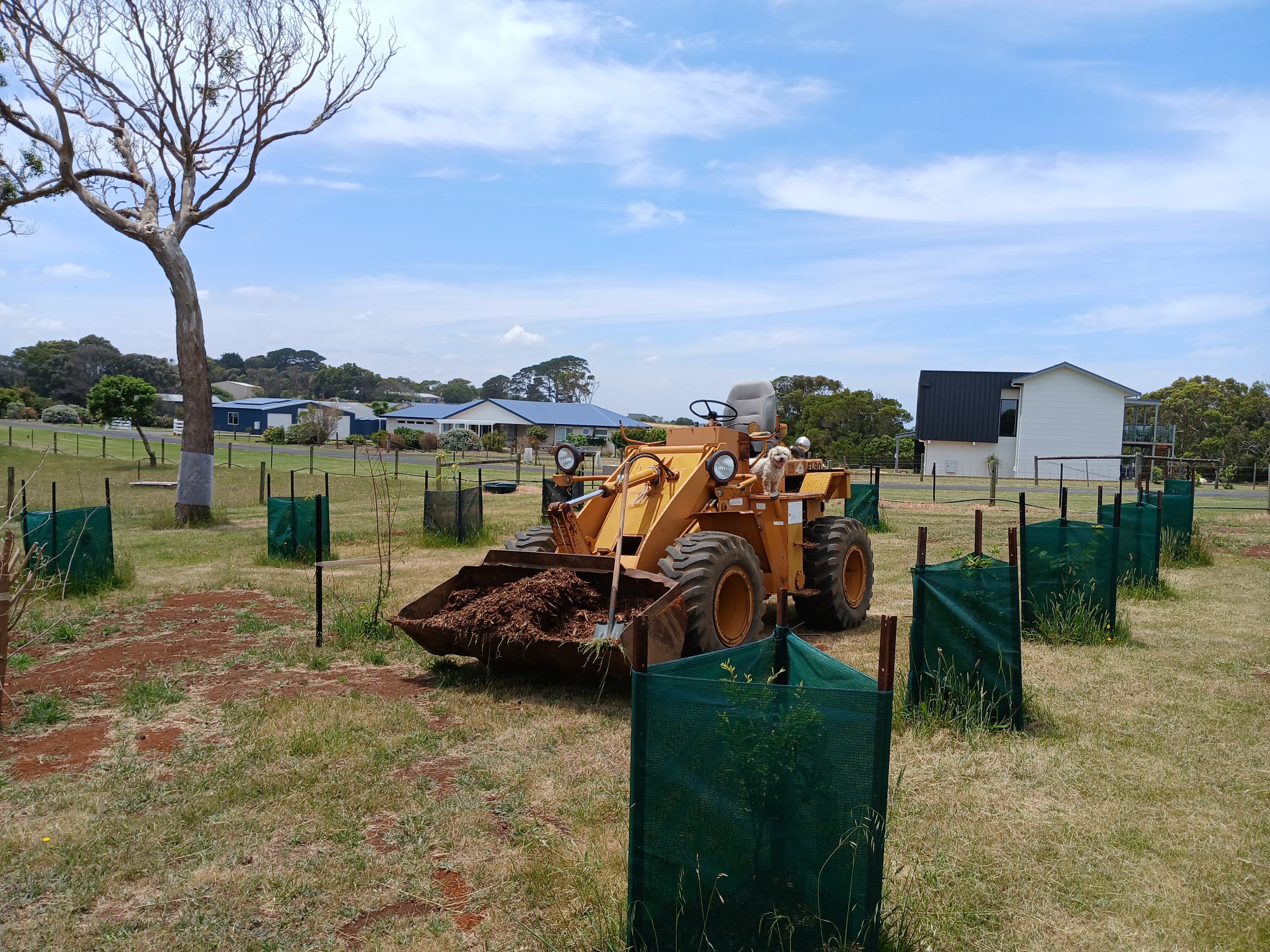 Furukawa loader3